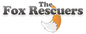 the fox rescuers